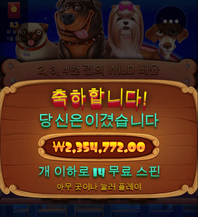프라그매틱 더 도그하우스 600배 당첨(0)
