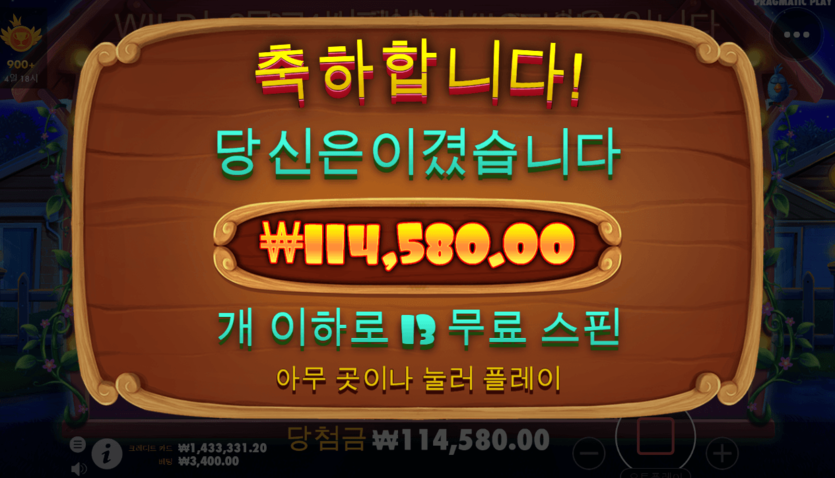 온카 프라그매틱 개집 후기(0)