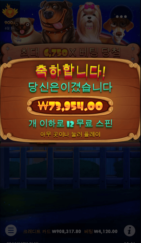 도그 하우스 두번은 없나 봅니다 ;;(0)