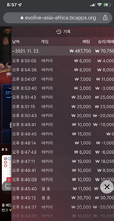 벳무브 후기(0)