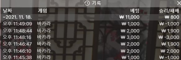 벳무브 후기(0)