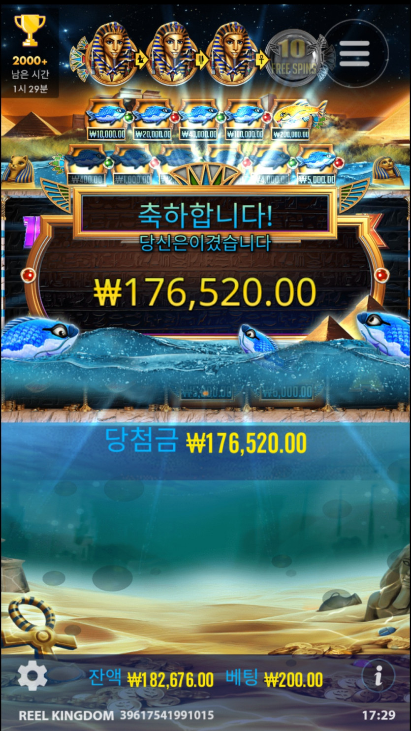 비제휴 슬롯후기(0)