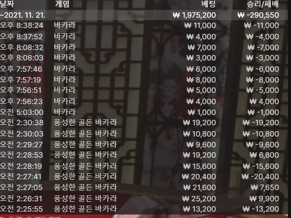 벳무브 후기(0)
