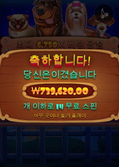 개집 빼앗기(0)