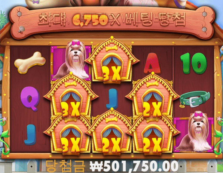 바카라 어려워서 개집짓기(0)