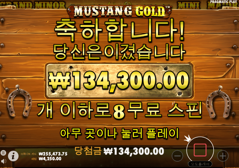 프로 카지노 머스탱 골드 후기(0)