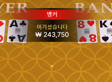 XO카지노 스피드 바카라 좋구나(1)