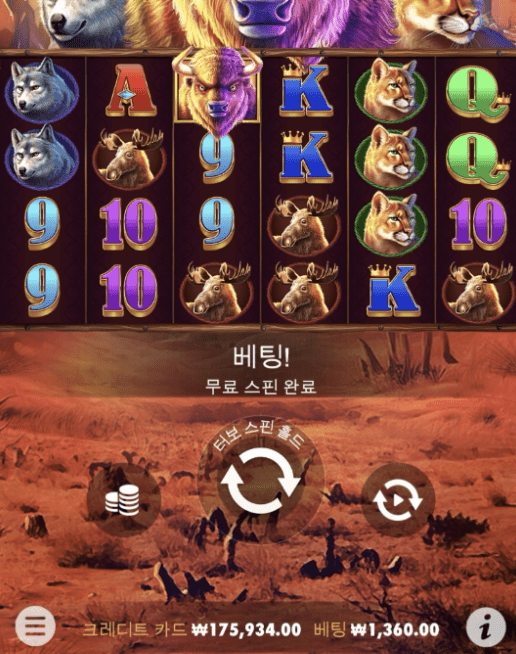 슬롯걸러야지...(0)