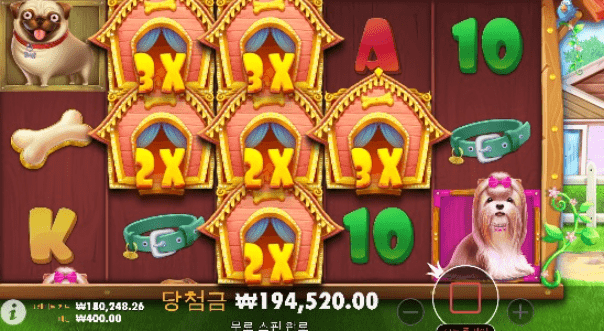 XO 카지노 개집 후기(0)