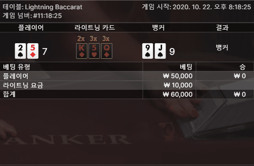 fm라이트닝 바카라 2판만에 나와버리기(1)