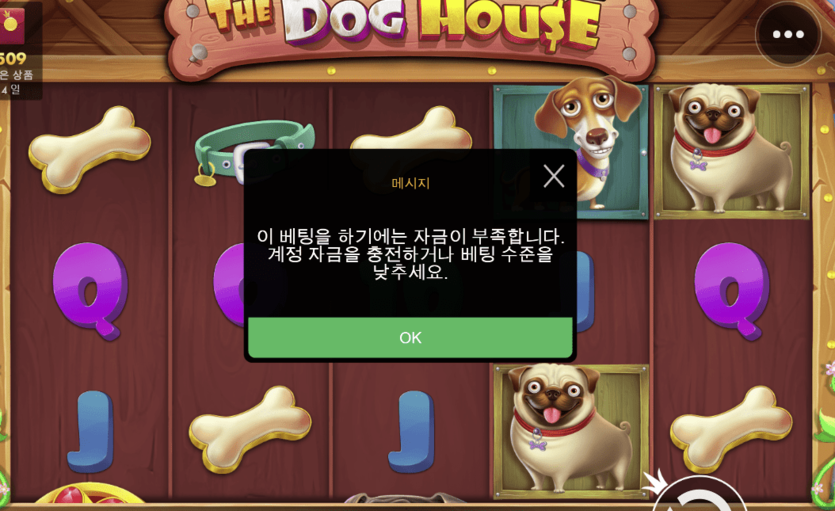 XO카지노 개집 돌린 후기...(0)