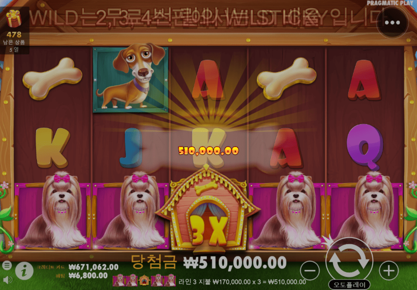 온라인 카지노 개집 비우고 왔어요(0)
