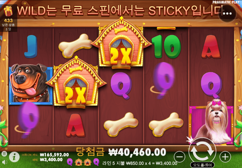헤븐 도그하우스 출발합니다(0)