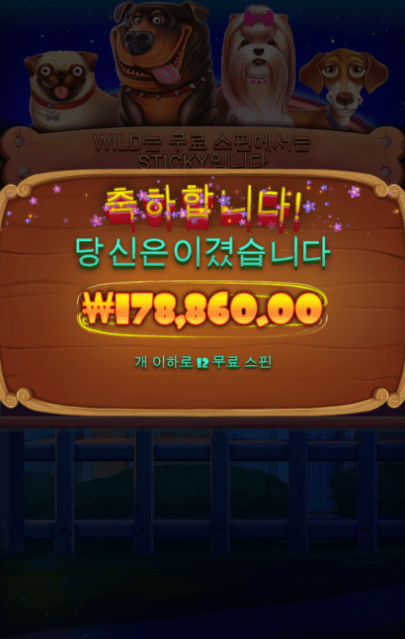 도그 하우스 후기(0)