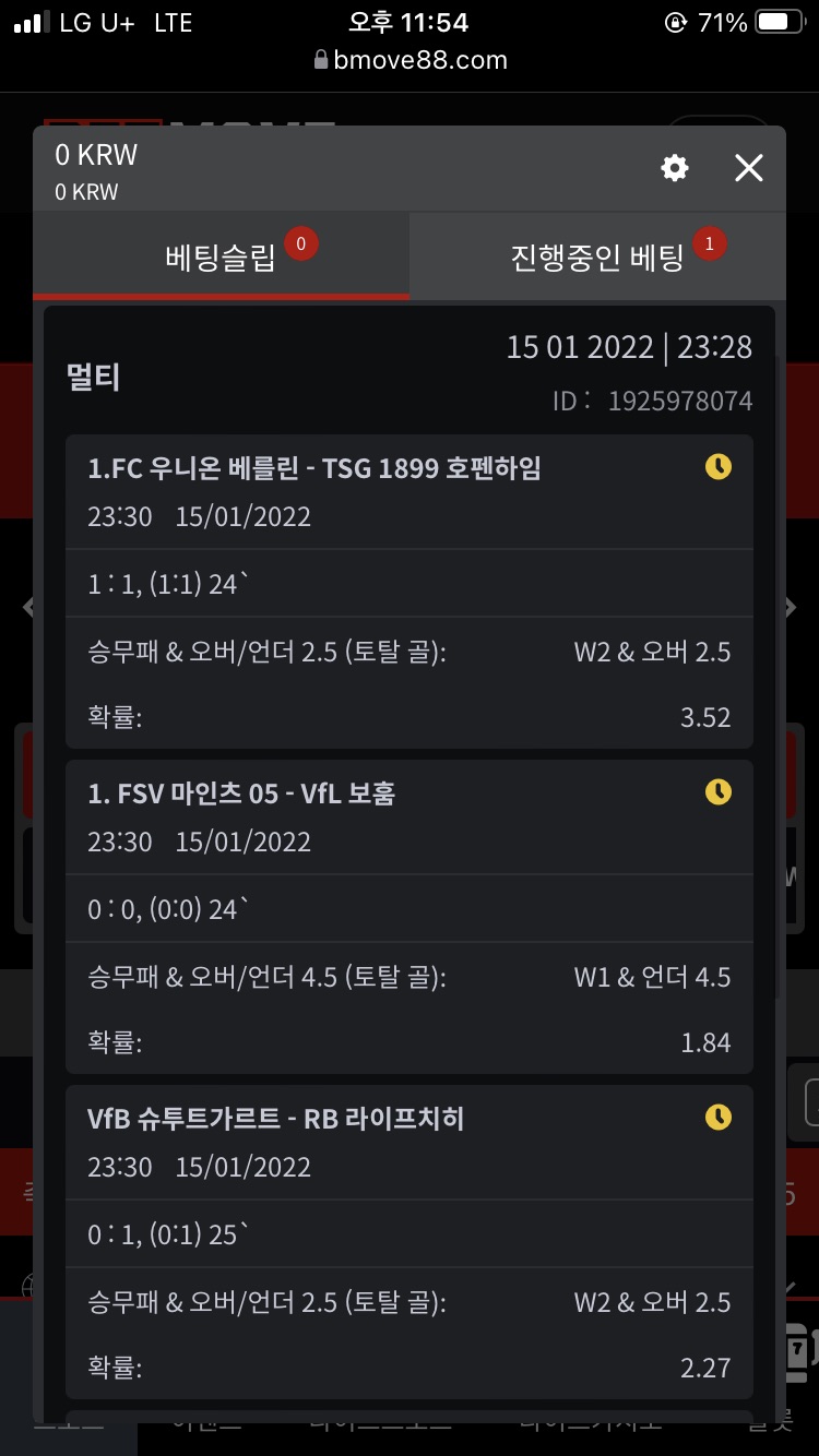 벳무브 후기(0)