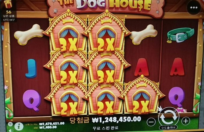 오랜만에 슬롯으로 먹네요ㅋㅋ(0)