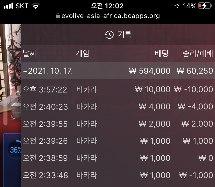 벳무브 후기(0)