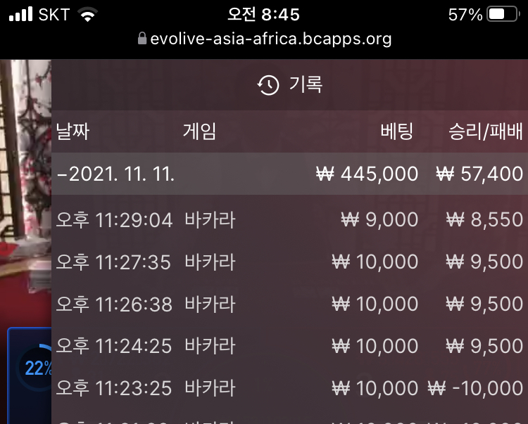 벳무브 후기(0)