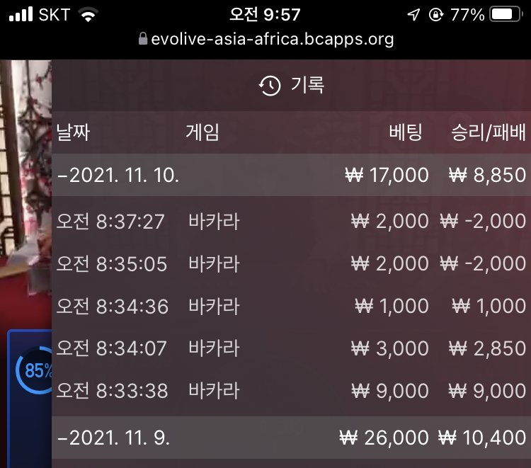 벳무브 후기(0)