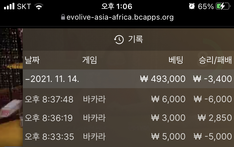 벳무브 후기(0)