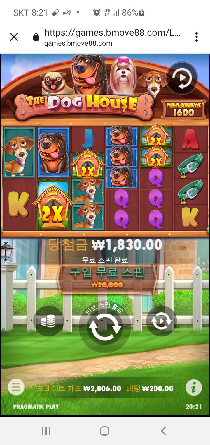 벳무브후기(0)