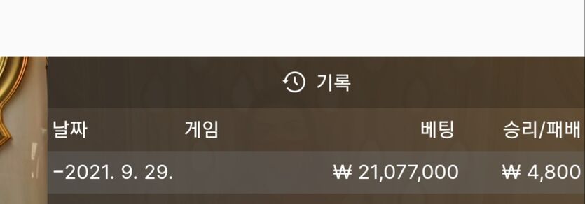 벳무브후기(0)