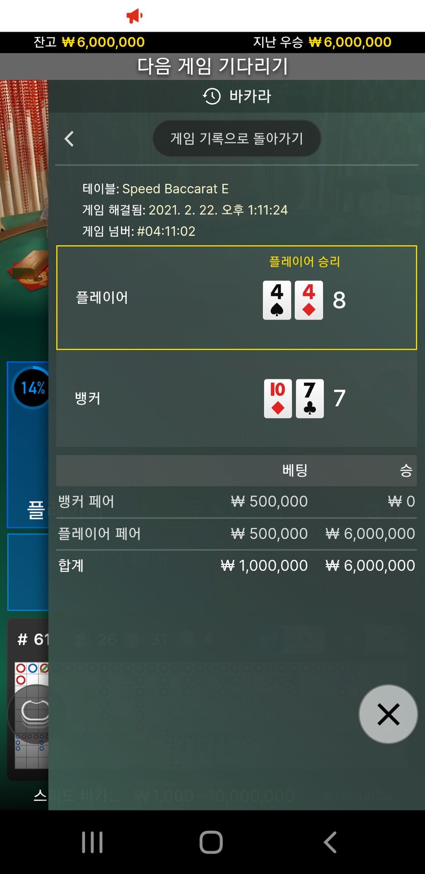 머나먼 쌍페어(0)