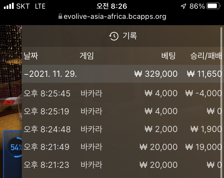 벳무브후기(0)