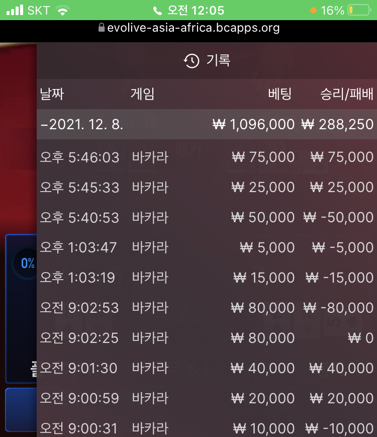 벳무브 후기(0)