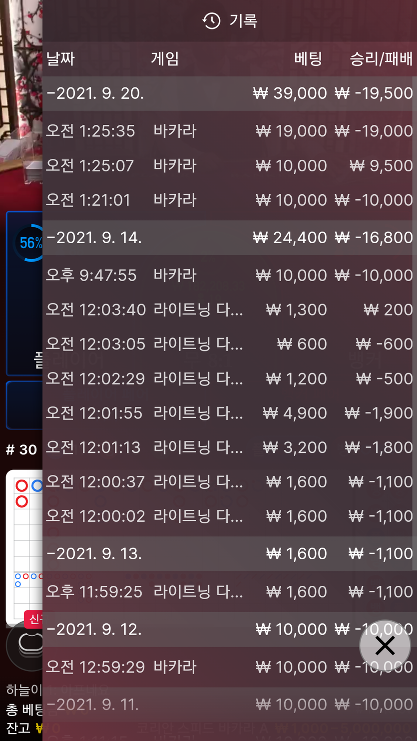 벳무브 후기(0)