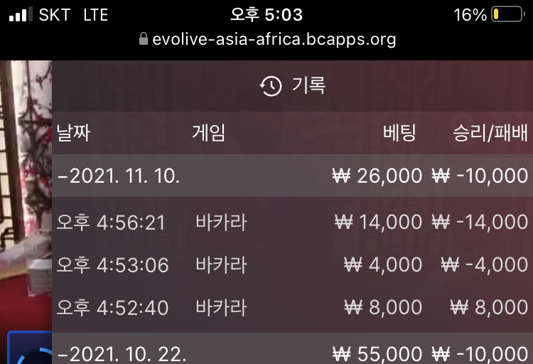 벳무브 후기(0)