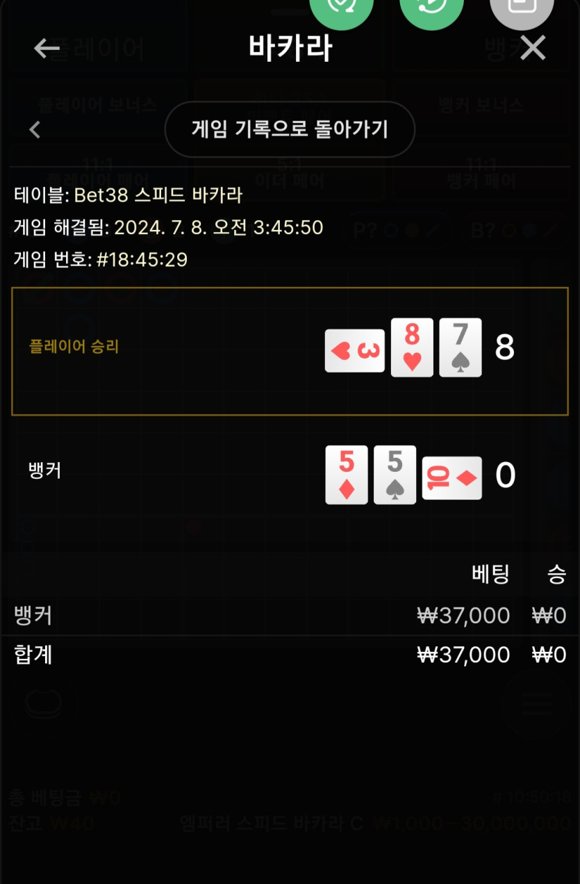 비제후기(0)