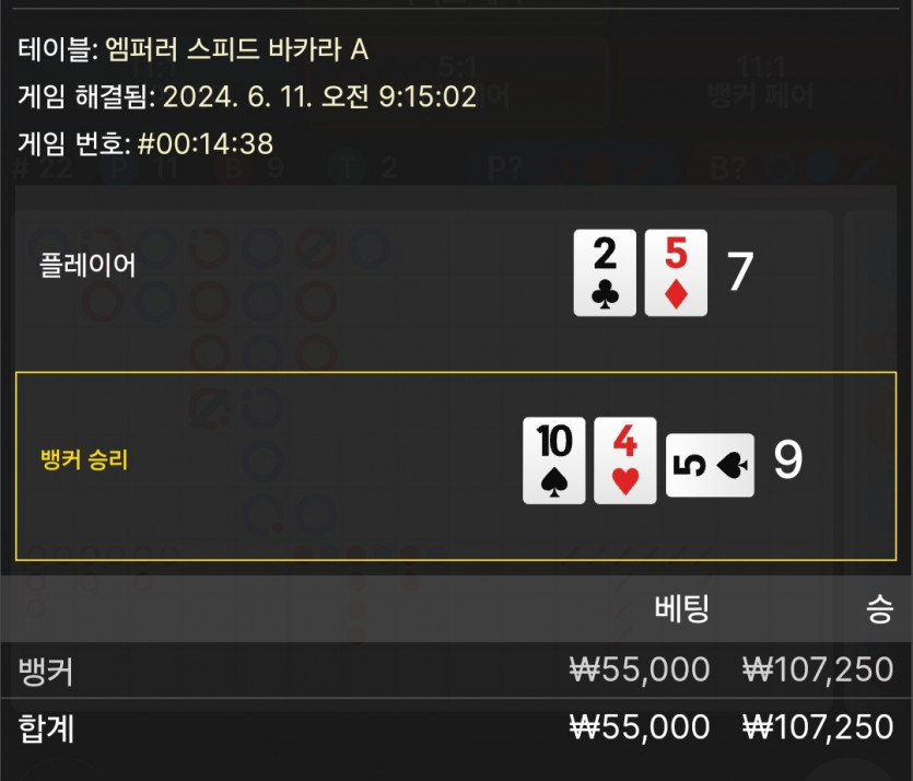 6/11 케이 바카라 후기(0)