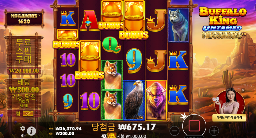 얀슬롯(0)
