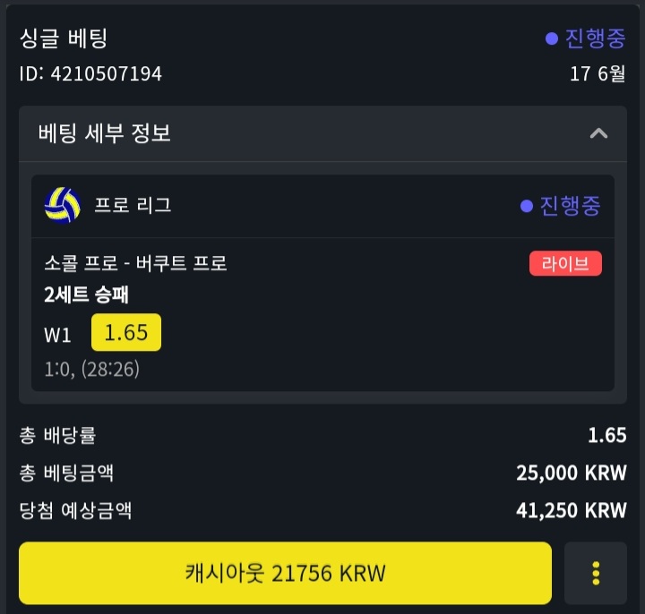 실시간배구 배팅&후기(1)