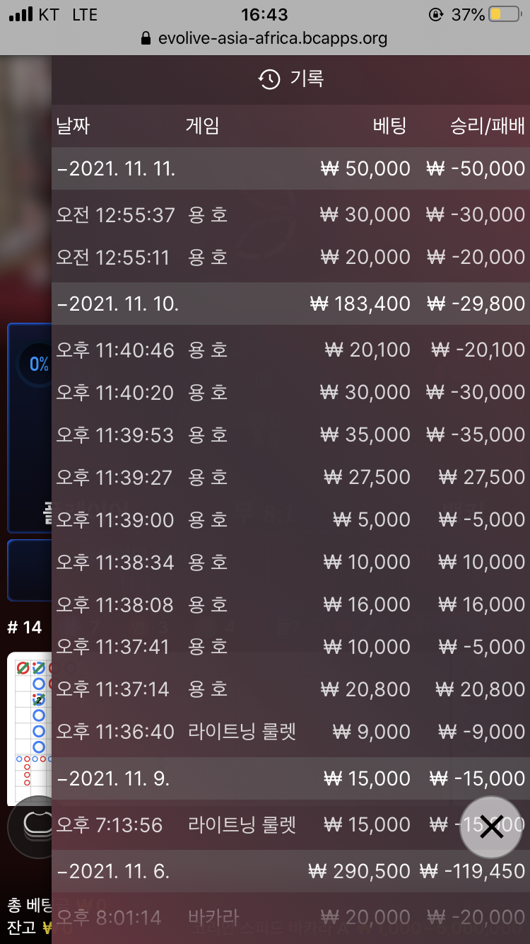 벳무브 후기(0)