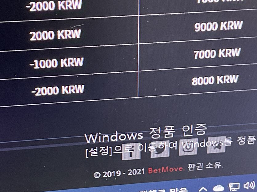 벳무브 후기(0)