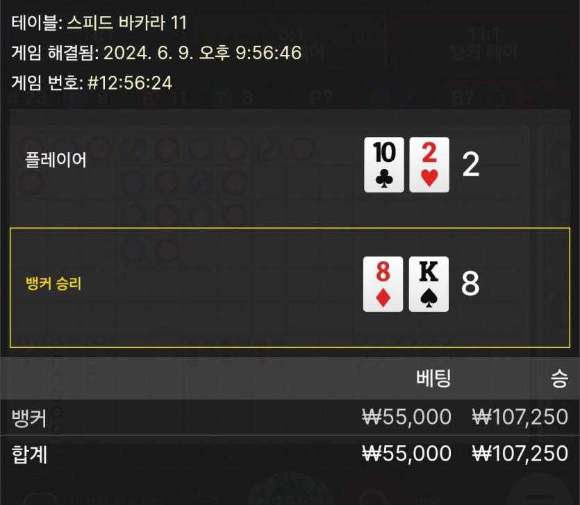 6/9 케이 바카라 후기 4(0)