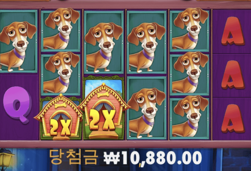 헤븐 개집 너무 아쉽네요ㅠㅠ(0)