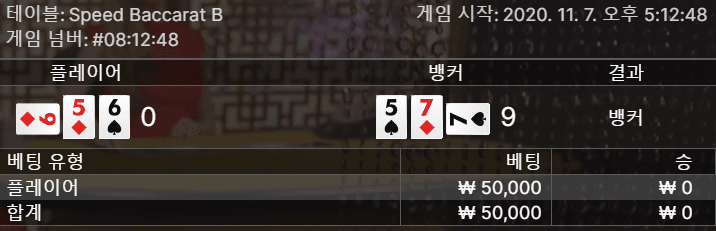 헤븐 에볼루션 스피드 바카라 후기(1)