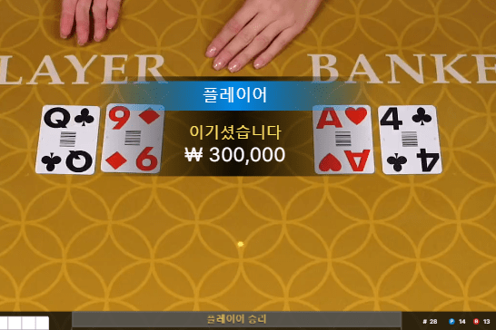 프로 카지노 스피드 바카라 후기(1)