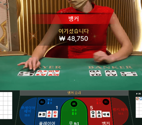 프로카지노 스피드 바카라 가보자(0)