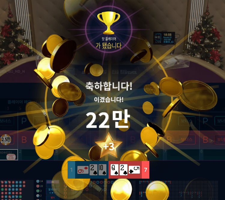 프로 카지노 보너스 바카라 후기(0)