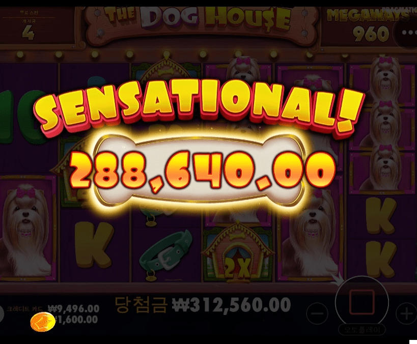 나이스 노프리로 수익내기(0)