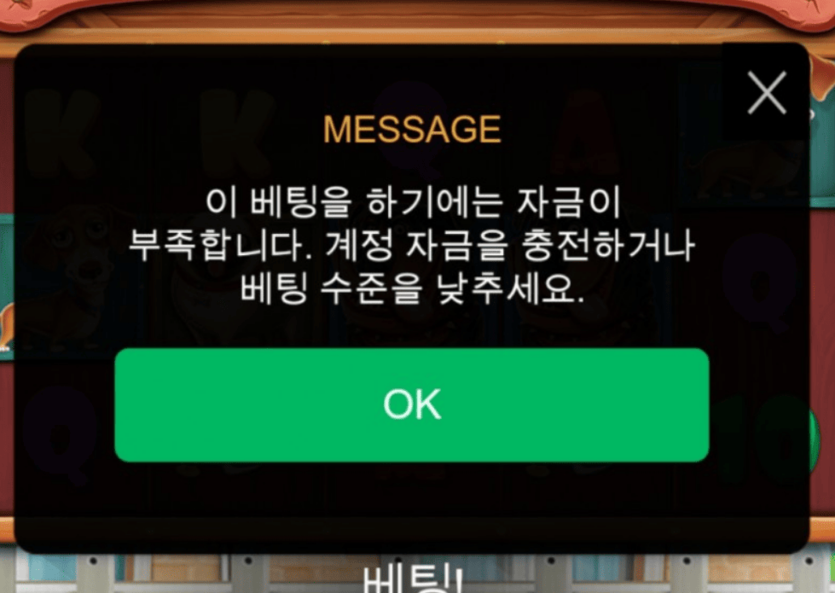 역시 개집은 절대 안 주네(0)