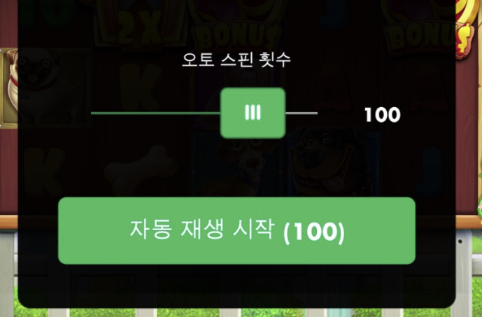 도그하우스 재입(0)