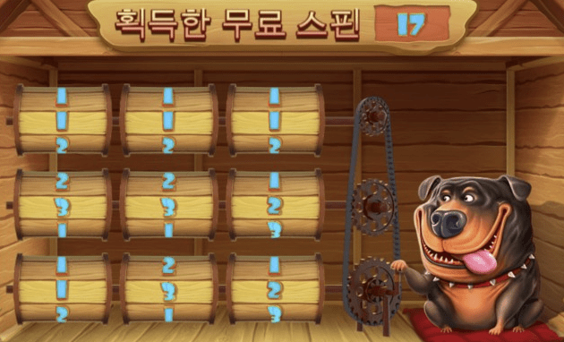 새벽 개집(0)