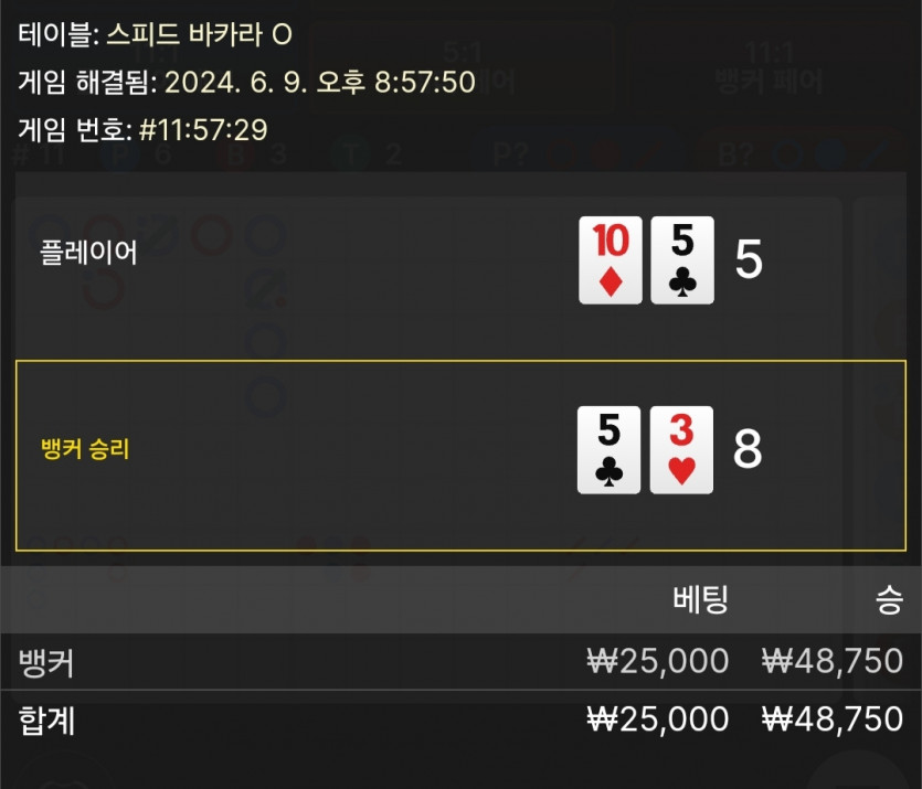 6/9 케이 바카라 후기 3(0)
