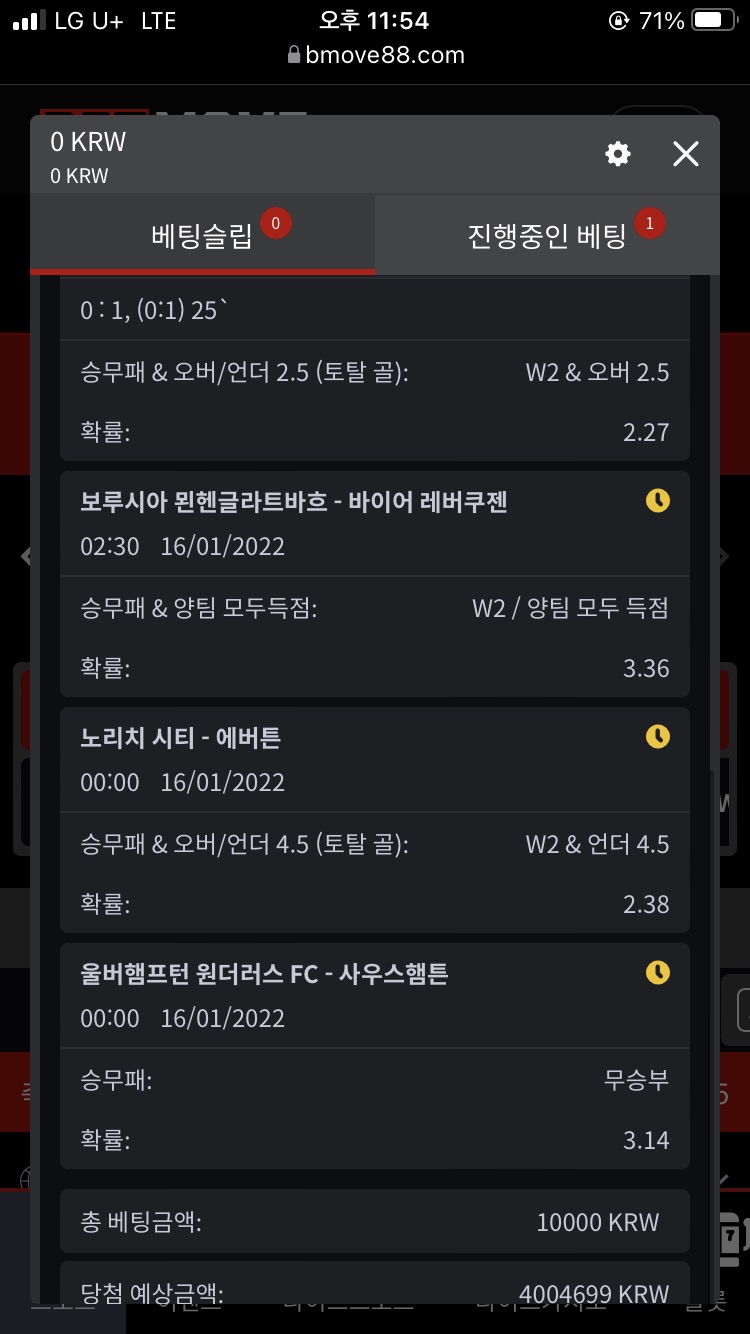 벳무브 후기(0)