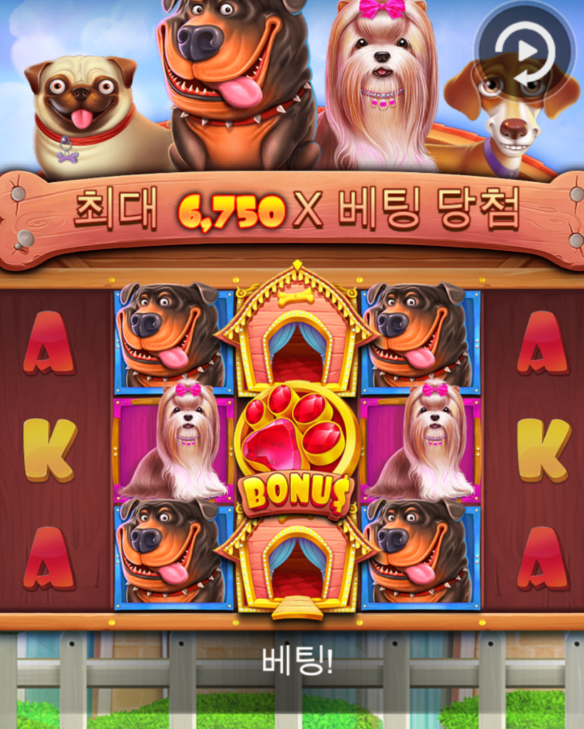 슬롯1차 도그 하우스(0)